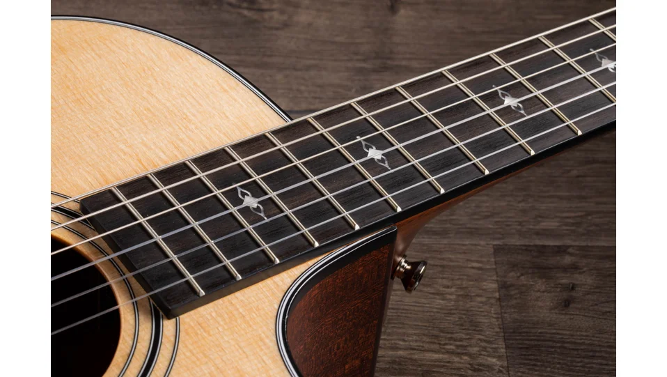 312ce-NSapeleアコースティック エレクトリック ギター | Taylor Guitars